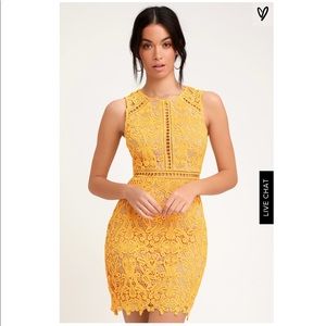Lulu’s Dream Life Yellow Lace Bodycon Dress